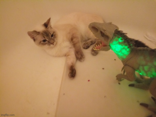 My Cat vs Indominus Rex | image tagged in cats | made w/ Imgflip meme maker