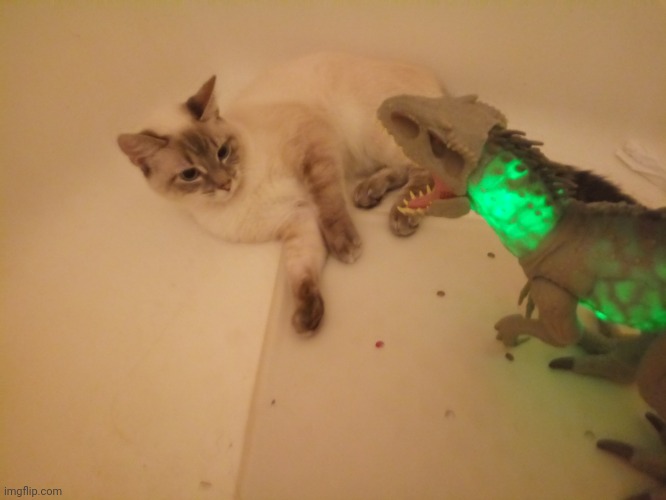 My Cat vs Indominus Rex | image tagged in jurassic park,jurassic world,cats | made w/ Imgflip meme maker