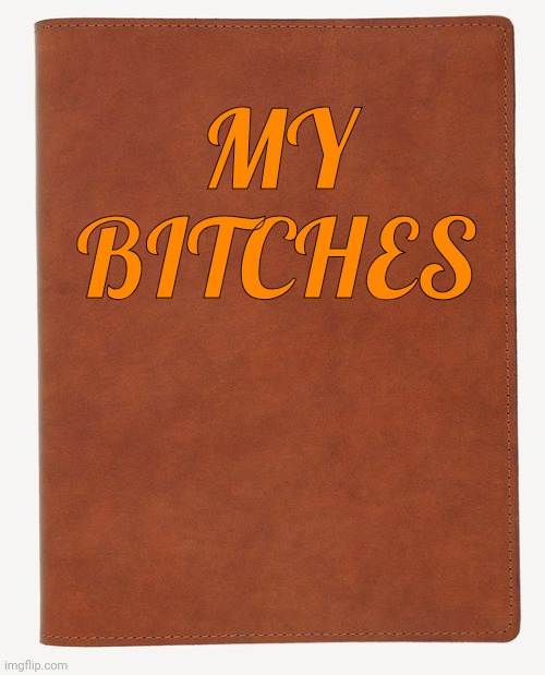 Blank Book Cover | MY BITCHES | image tagged in blank book cover | made w/ Imgflip meme maker