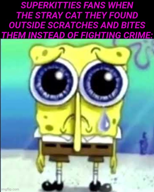 Sad Spongebob | SUPERKITTIES FANS WHEN THE STRAY CAT THEY FOUND OUTSIDE SCRATCHES AND BITES THEM INSTEAD OF FIGHTING CRIME: | image tagged in sad spongebob | made w/ Imgflip meme maker