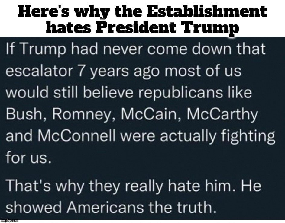Here's Why the Establishment Hates President Trump | image tagged in the establishment,haters gonna hate,rinos,fake republicans,sedition,treason | made w/ Imgflip meme maker