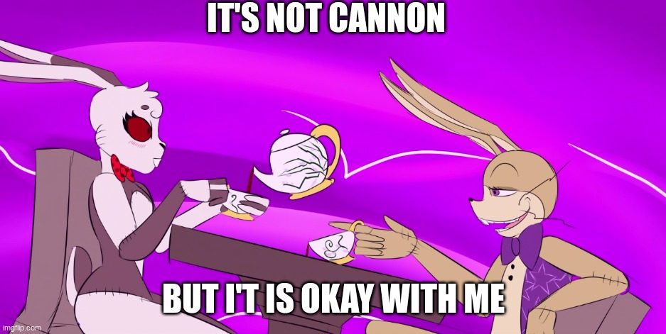 It is actually sad | IT'S NOT CANNON; BUT I'T IS OKAY WITH ME | made w/ Imgflip meme maker