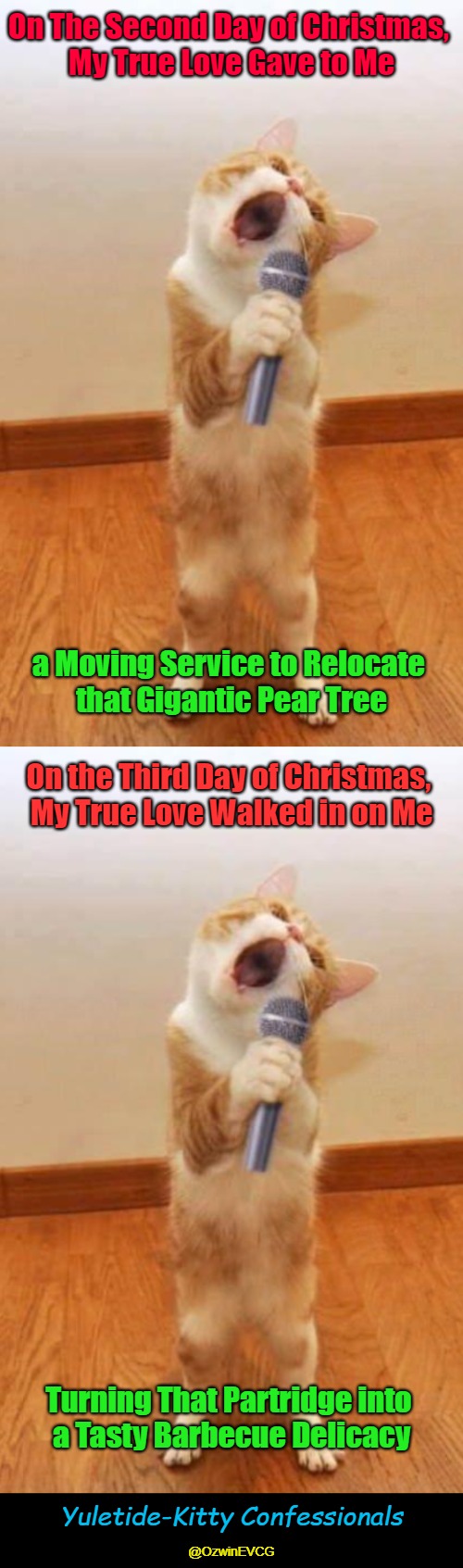 Yuletide-Kitty Confessionals | On The Second Day of Christmas, 
My True Love Gave to Me; a Moving Service to Relocate 
that Gigantic Pear Tree; On the Third Day of Christmas, 
My True Love Walked in on Me; Turning That Partridge into 
a Tasty Barbecue Delicacy; Yuletide-Kitty Confessionals; @OzwinEVCG | image tagged in dank christmas,cat singer,dank meme,days of christmas,four-legged punkers,surprise poetry | made w/ Imgflip meme maker