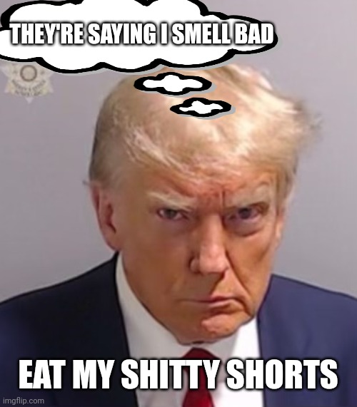 Shitty Don | THEY'RE SAYING I SMELL BAD; EAT MY SHITTY SHORTS | image tagged in donald trump mugshot,donald trump,trumpsmellsbad,trump meme | made w/ Imgflip meme maker