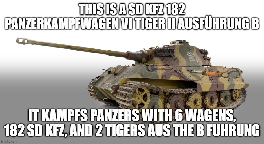 Panzerkampfwagen VI Tiger II Ausführung B | THIS IS A SD KFZ 182 PANZERKAMPFWAGEN VI TIGER II AUSFÜHRUNG B; IT KAMPFS PANZERS WITH 6 WAGENS, 182 SD KFZ, AND 2 TIGERS AUS THE B FUHRUNG | image tagged in panzerkampfwagen vi tiger ii ausf hrung b | made w/ Imgflip meme maker