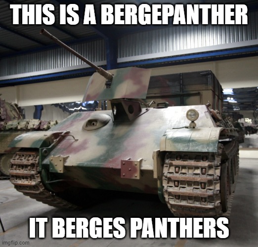 mods, how many images can i post a day max? im making these for a video and i dont want to spam the stream | THIS IS A BERGEPANTHER; IT BERGES PANTHERS | image tagged in bergepanther | made w/ Imgflip meme maker