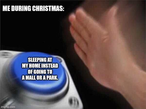 Blank Nut Button Meme | ME DURING CHRISTMAS:; SLEEPING AT MY HOME INSTEAD OF GOING TO A MALL OR A PARK. | image tagged in memes,sleep,xmas | made w/ Imgflip meme maker