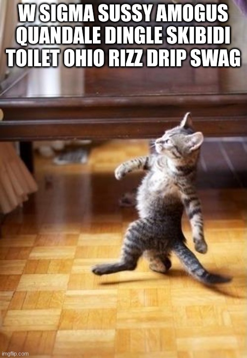 Cool Cat Stroll Meme | W SIGMA SUSSY AMOGUS QUANDALE DINGLE SKIBIDI TOILET OHIO RIZZ DRIP SWAG | image tagged in memes,cool cat stroll | made w/ Imgflip meme maker