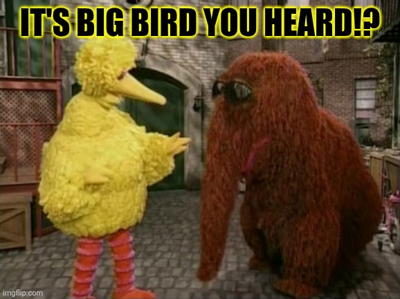 Big Bird | IT'S BIG BIRD YOU HEARD!? | image tagged in memes,big bird and snuffy,sesame street | made w/ Imgflip meme maker
