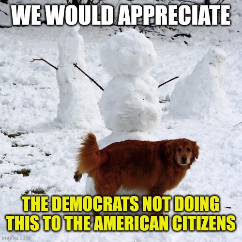 Snowmen and the dog | WE WOULD APPRECIATE; THE DEMOCRATS NOT DOING THIS TO THE AMERICAN CITIZENS | image tagged in snowmen and the dog | made w/ Imgflip meme maker