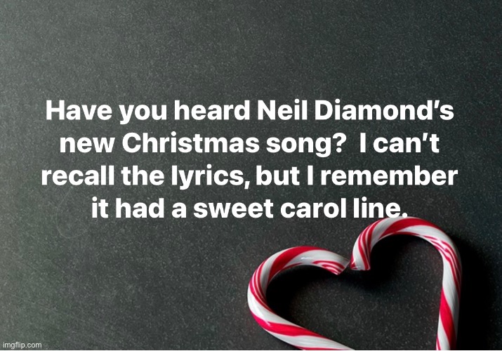 Carol | image tagged in bad pun | made w/ Imgflip meme maker