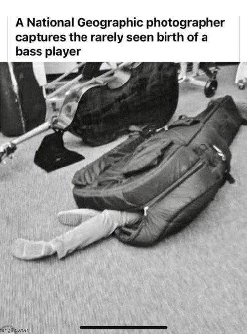 It’s all about the bass | image tagged in dad joke | made w/ Imgflip meme maker
