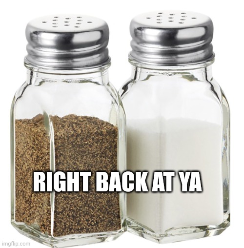 Salt and pepper shakers | RIGHT BACK AT YA | image tagged in salt and pepper shakers | made w/ Imgflip meme maker