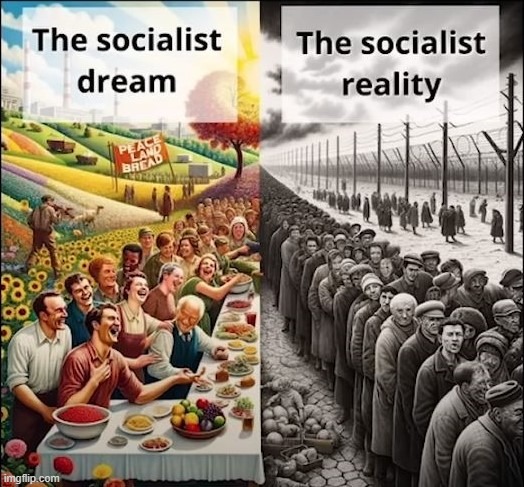 Socialist delusion | image tagged in socialism | made w/ Imgflip meme maker