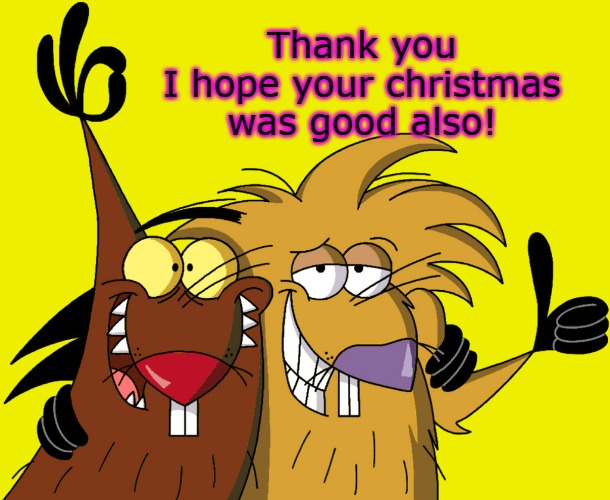 Beavers | Thank you
I hope your christmas was good also! | image tagged in beavers | made w/ Imgflip meme maker