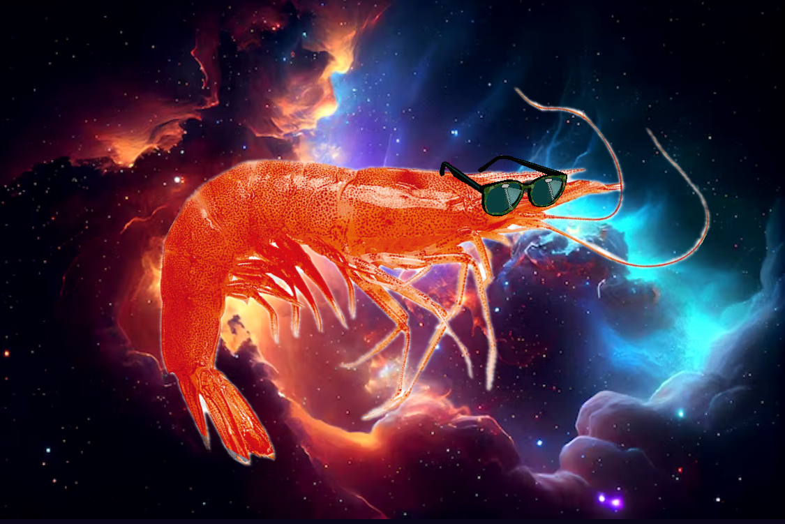 Shrimp in space Blank Meme Template