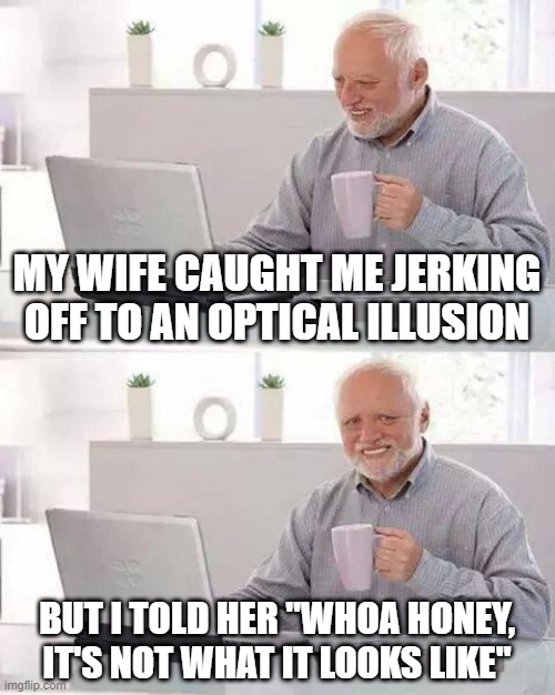 Illusion | MY WIFE CAUGHT ME JERKING OFF TO AN OPTICAL ILLUSION; BUT I TOLD HER "WHOA HONEY, IT'S NOT WHAT IT LOOKS LIKE" | image tagged in memes,hide the pain harold | made w/ Imgflip meme maker