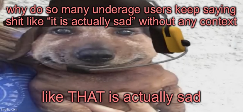 T_T | why do so many underage users keep saying shit like “it is actually sad” without any context; like THAT is actually sad | image tagged in chucklenuts | made w/ Imgflip meme maker