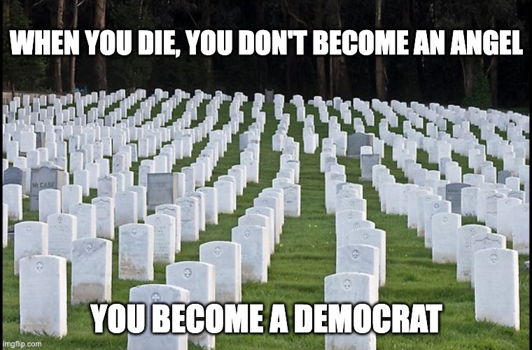 Fact | WHEN YOU DIE, YOU DON'T BECOME AN ANGEL; YOU BECOME A DEMOCRAT | image tagged in democrat,ballot harvesting | made w/ Imgflip meme maker