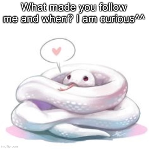 Also tysm everyone for being amazing people:D | What made you follow me and when? I am curious^^ | image tagged in snek | made w/ Imgflip meme maker
