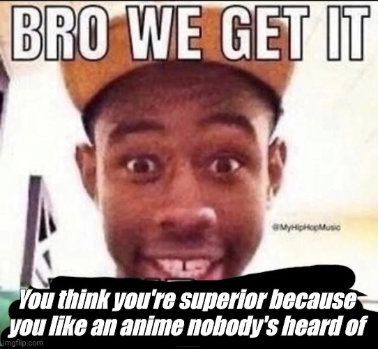 BRO WE GET IT YOU'RE GAY | You think you're superior because you like an anime nobody's heard of | image tagged in bro we get it you're gay | made w/ Imgflip meme maker