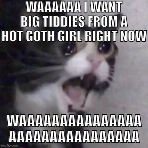 day 2 of trying to create my own shitposts to earn Shitposter status | WAAAAAA I WANT BIG TIDDIES FROM A HOT GOTH GIRL RIGHT NOW; WAAAAAAAAAAAAAAA
AAAAAAAAAAAAAAAA | made w/ Imgflip meme maker