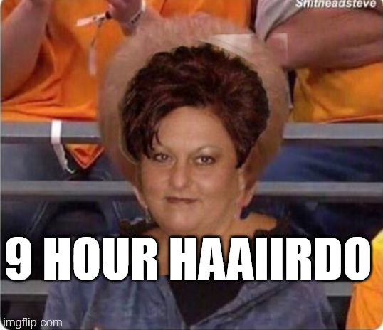 Phyllis Guglielmi-Gross 80s TV Series HairDoo | 9 HOUR HAAIIRDO | image tagged in ultimate karen | made w/ Imgflip meme maker