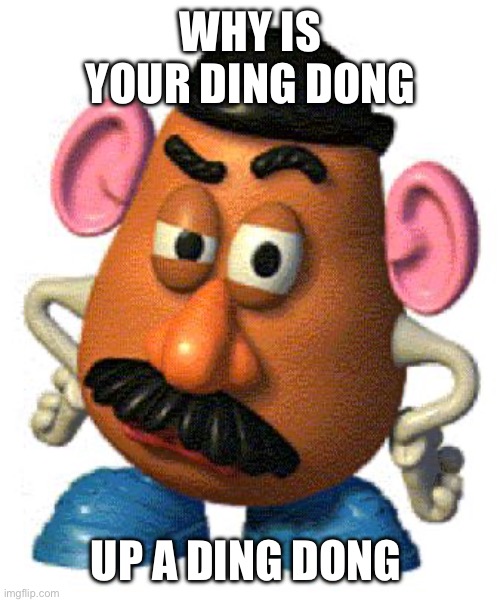 Mr Potato Head | WHY IS YOUR DING DONG; UP A DING DONG | image tagged in mr potato head | made w/ Imgflip meme maker
