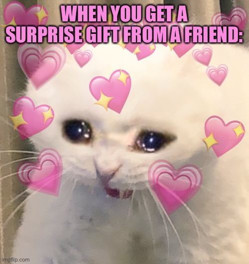 Anyone else get one? | WHEN YOU GET A SURPRISE GIFT FROM A FRIEND: | image tagged in loving crying cat | made w/ Imgflip meme maker