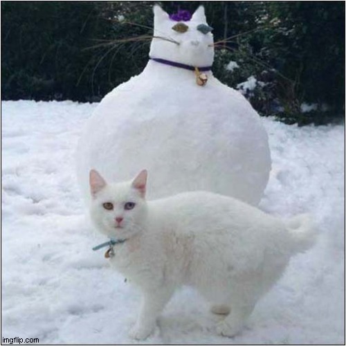 Who Did This ? | image tagged in cats,snow,snowcat | made w/ Imgflip meme maker