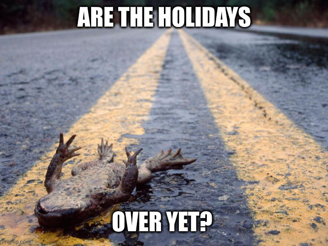 Holiday roadkill | ARE THE HOLIDAYS; OVER YET? | image tagged in frog roadkill,memes,frog,playing possum,holidays,merry christmas | made w/ Imgflip meme maker