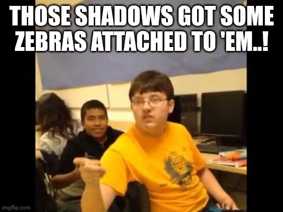 You know what? I'm about to say it | THOSE SHADOWS GOT SOME ZEBRAS ATTACHED TO 'EM..! | image tagged in you know what i'm about to say it | made w/ Imgflip meme maker