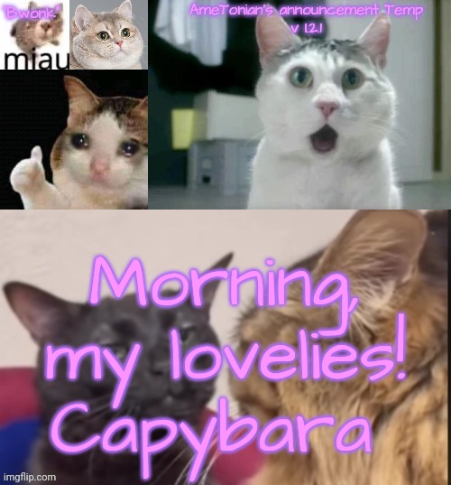 AmeTonian's announcement Temp v 1.2.1 | Morning, my lovelies!
Capybara | image tagged in ametonian's announcement temp v 1 2 1 | made w/ Imgflip meme maker
