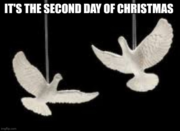 It is | IT'S THE SECOND DAY OF CHRISTMAS | image tagged in why are you reading the tags | made w/ Imgflip meme maker