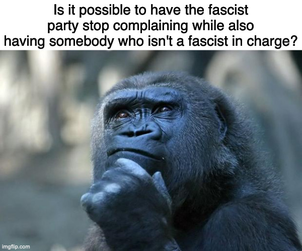 The republican / fascist party should really rename themselves to the complaining party because that's the only thing they do | Is it possible to have the fascist party stop complaining while also having somebody who isn't a fascist in charge? | image tagged in deep thoughts,memes,politics | made w/ Imgflip meme maker