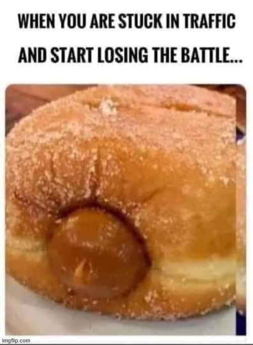 Turtles Head | image tagged in now | made w/ Imgflip meme maker