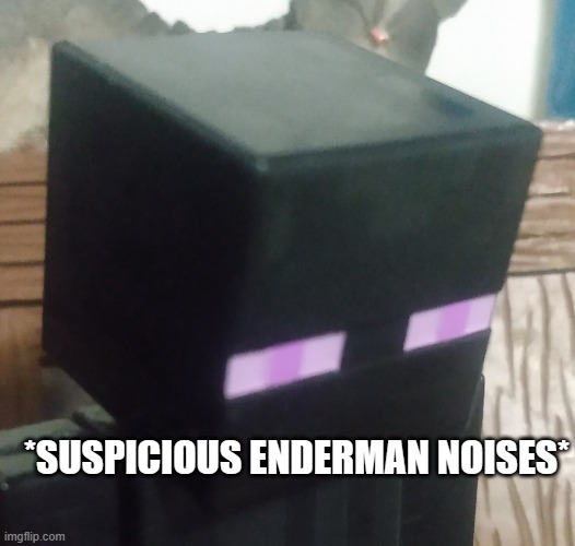Enderman stare | *SUSPICIOUS ENDERMAN NOISES* | image tagged in enderman stare | made w/ Imgflip meme maker