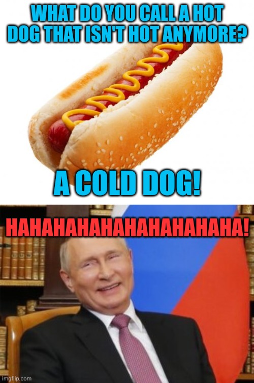 WHAT DO YOU CALL A HOT DOG THAT ISN'T HOT ANYMORE? HAHAHAHAHAHAHAHAHAHA! A COLD DOG! | image tagged in hot dog,sanctions putin laughs his ass off | made w/ Imgflip meme maker