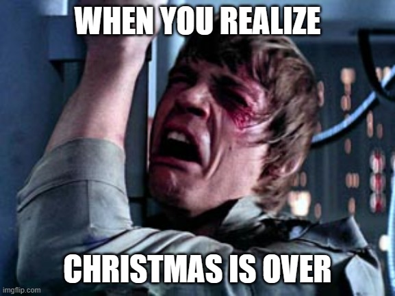 NOOOOOOOOOOO | WHEN YOU REALIZE; CHRISTMAS IS OVER | image tagged in luke skywalker noooo | made w/ Imgflip meme maker