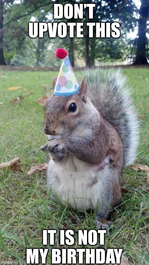 Super Birthday Squirrel Meme | DON’T UPVOTE THIS; IT IS NOT MY BIRTHDAY | image tagged in memes,super birthday squirrel,birthday,happy birthday,funny,meme | made w/ Imgflip meme maker
