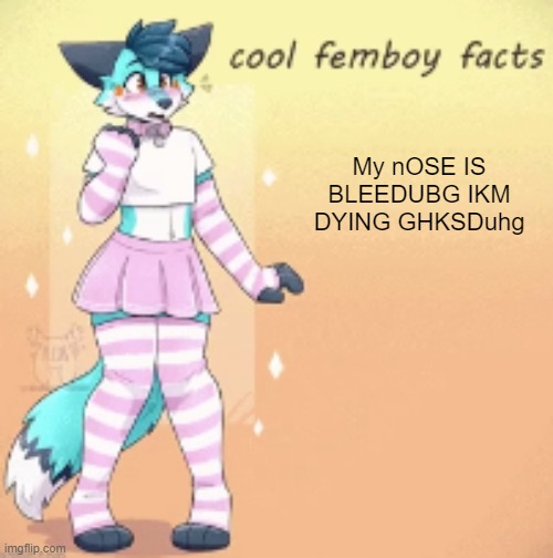 cool femboy facts | My nOSE IS BLEEDUBG IKM DYING GHKSDuhg | image tagged in cool femboy facts | made w/ Imgflip meme maker