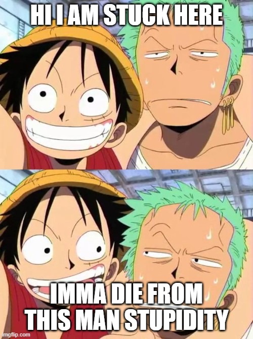 luffy and zoro | HI I AM STUCK HERE; IMMA DIE FROM THIS MAN STUPIDITY | image tagged in luffy and zoro | made w/ Imgflip meme maker