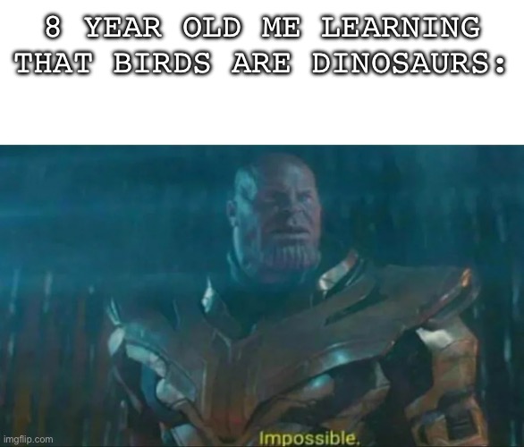 This will be untitled | 8 YEAR OLD ME LEARNING THAT BIRDS ARE DINOSAURS: | image tagged in thanos impossible,bird,dinosaur,i dont need more tags,please | made w/ Imgflip meme maker