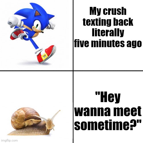 No Fr it's been two days now | My crush texting back literally five minutes ago; "Hey wanna meet sometime?" | image tagged in sonic vs snail | made w/ Imgflip meme maker