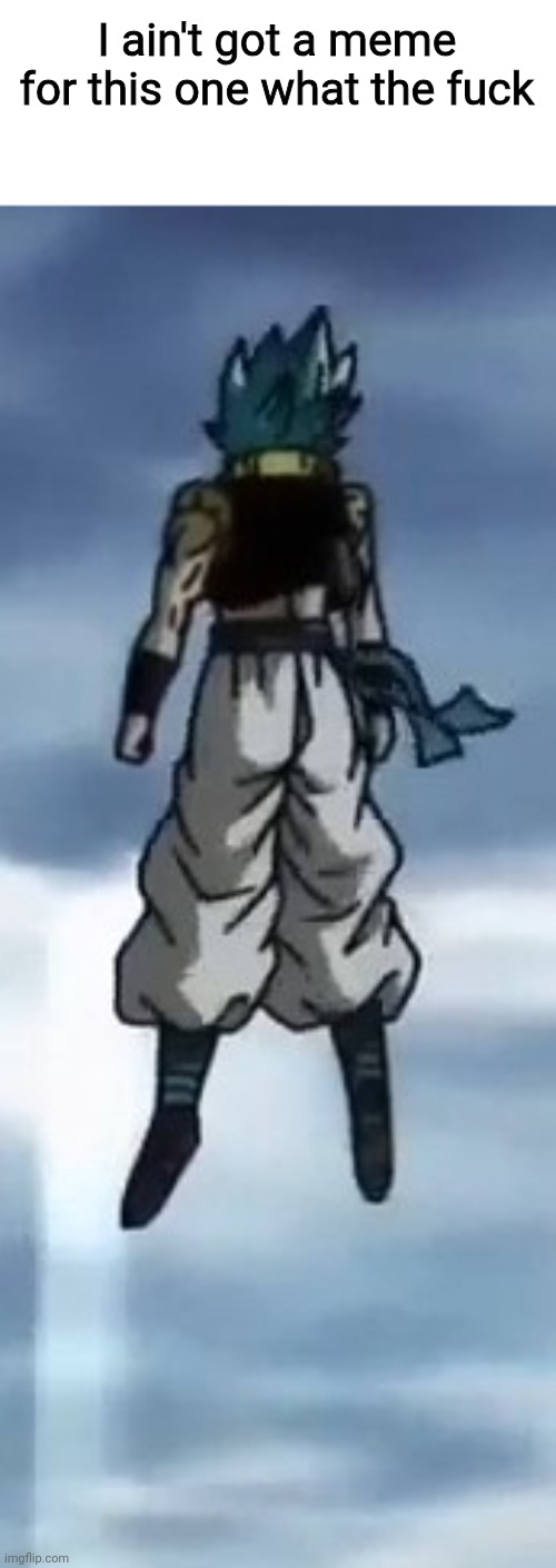 Depressed Gogeta Blue | I ain't got a meme for this one what the fuck | image tagged in depressed gogeta blue | made w/ Imgflip meme maker