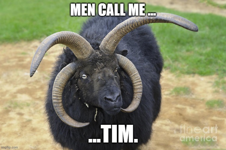 Men call me.... | MEN CALL ME ... ...TIM. | image tagged in super goat | made w/ Imgflip meme maker