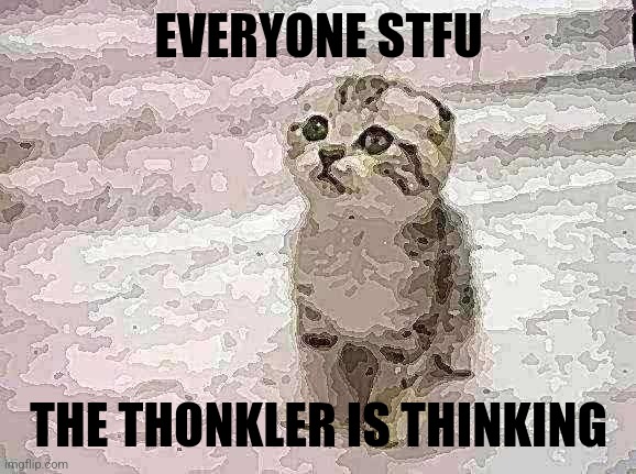 Sad Cat | EVERYONE STFU; THE THONKLER IS THINKING | image tagged in memes,sad cat | made w/ Imgflip meme maker