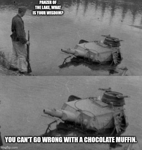 Panzer of the lake | PANZER OF THE LAKE, WHAT IS YOUR WISDOM? YOU CAN'T GO WRONG WITH A CHOCOLATE MUFFIN. | image tagged in panzer of the lake | made w/ Imgflip meme maker