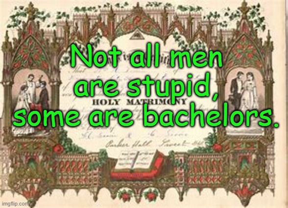 Not all men are fools. | Not all men are stupid, some are bachelors. Yarra Man | image tagged in marriage,husbands,wives,matrimony,man and woman microphone | made w/ Imgflip meme maker