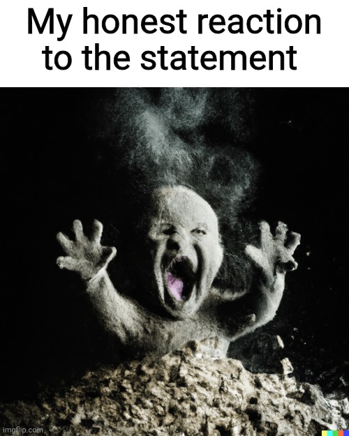 My honest reaction to the statement | made w/ Imgflip meme maker